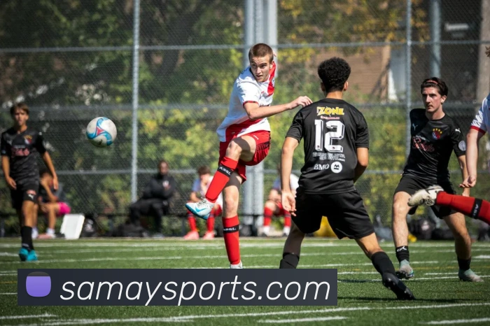 球赛投注平台生态图